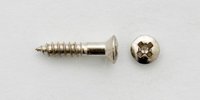 Pickguard screws 2,5 x 10mm nickel