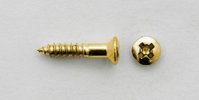 Pickguard screws 2,5 x 10mm gold
