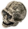 Rotaryknob Skull Silver/Clear Eyes Push On